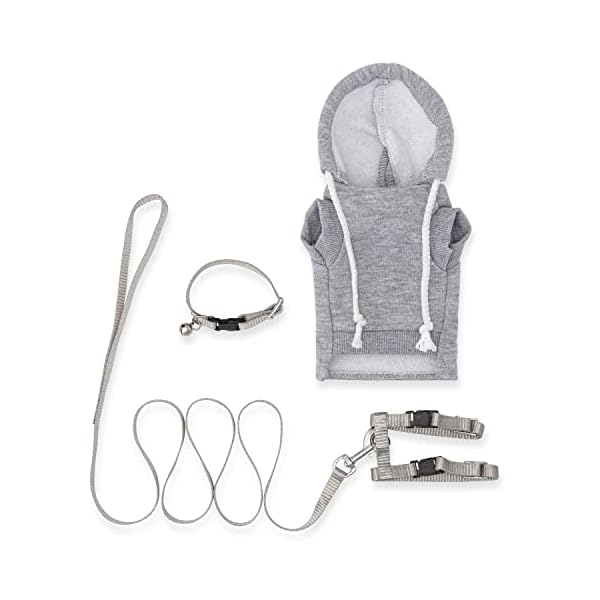 Ferret sweater, leash and collar set - ferret costume - ferret accessories - small ferret clothes - clothes for ferrets - ferret stuff - hoodies for ferrets with leash, harness, and collar - image 6
