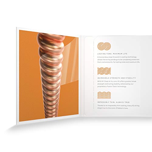 D’Addario XSM1140 Bronze Phosphoreux Cordes Guitare Mandoline, Medium, 11-40 - Les Beatles, Paul McCartney, John Lennon, RIngo Starr, George Harrison D'Addario XSM1140 Bronze Phosphoreux Cordes Guitare Mandoline, Medium, 11-40 – Image 5