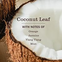 MRS. MEYER'S CLEAN DAY Pet Odor Neutralizer, Coconut Leaf Scent, 12oz — image 3