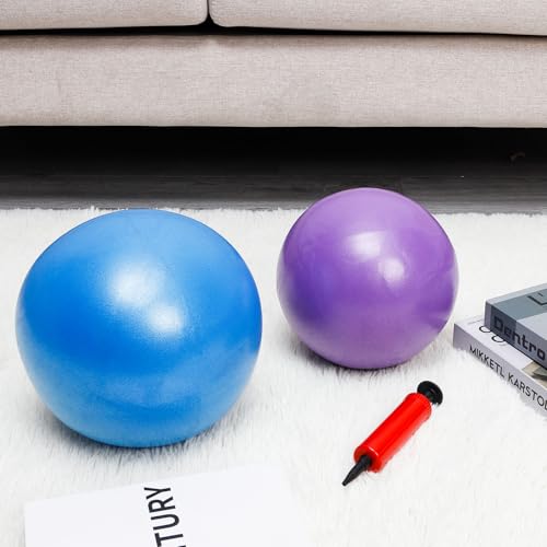 Auidy_6TXD 2 Stück Gymnastikball Klein,25cm Pilates Ball Übung Ball,Soft Rutschfester Gymnastikball mit Aufblasvorrichtung für Yoga, Pilates, Balance, Physiotherapie
