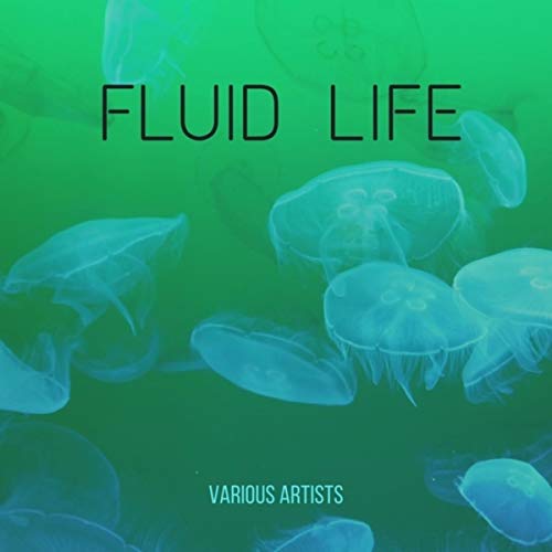 Amazon.co.jp Fluid Life VARIOUS ARTISTS デジタルミュージック