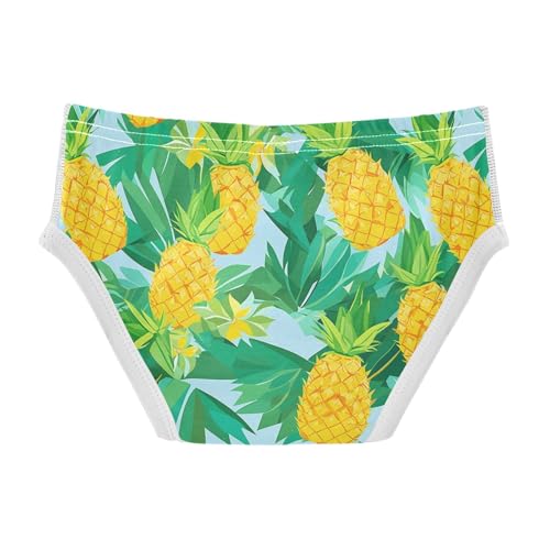 visesunny Boys Cotton Underwear Fruit Geometry Pineapple Leaf Printed Toddler Soft Training Briefs Size 2T-8Y for Kids2