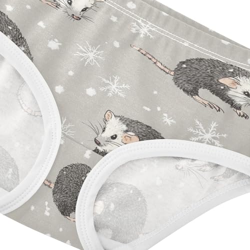 Wusikd Opossum Girls' Underwear Cotton Snowflake Girls Briefs Soft Toddler Underwear 2T4