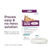 Comfort Zone Cat Calming Collar Value Pack: 4 30-Day Calming Collars for 120 Days of Calm; Cat Pheromones Help Anxiety, Reduce Stress, Urine Marking, Scratching; Indoor or Outdoor Cats; Long-Lasting