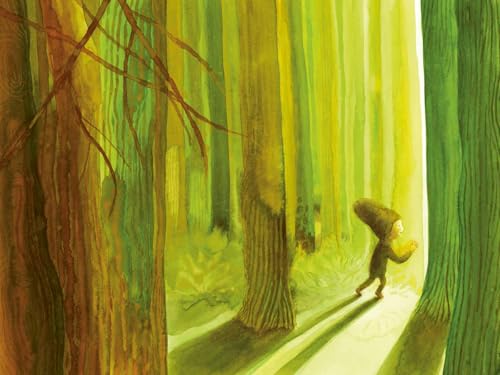 Amico Albero. Ediz. A Colori - 5