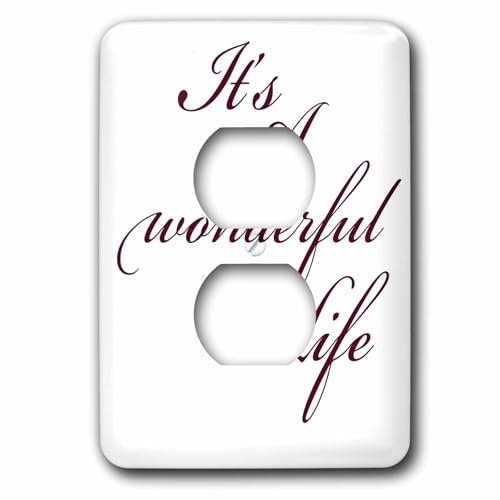 Plaque double prise 3dRose lsp_79141_6 pour cacher les murs