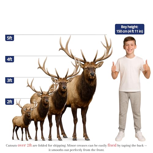 Image of Elk 2FT Life Size Cardboard Cutout - A Fun Animal Standup for Photo Booths, Birthday Parties, and Events