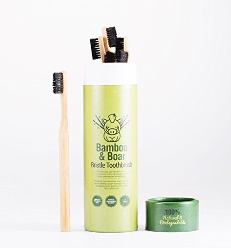 Natural Bristle Bamboo Toothbrush (NO Nylon) - Totally Biodegradable Boar Bristles and Bamboo