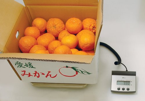 Báscula digital de medición Shinwa 100 kg miniatura 2