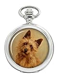 Cairn terrier par MAUD Earl Full Hunter montre de poche