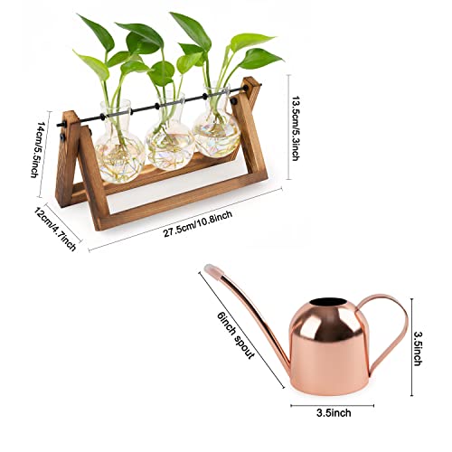 Whimserly Plant Terrarium With Copper Watering Can Herb Garden Indoor Plants Propagation Station Glass Bulb Planter Vase Wooden Stand Hydroponics Gift For Women Plant Lovers #TOP5