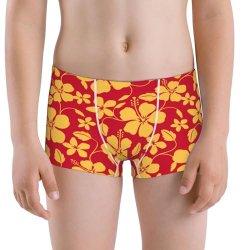 Boys' Cotton Boxer Brief Soft Underwear-Red Vintage Flowers