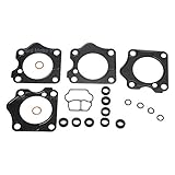 Standard Motor Products 2061 Fuel Injection Multi-Port Tune-up Kit