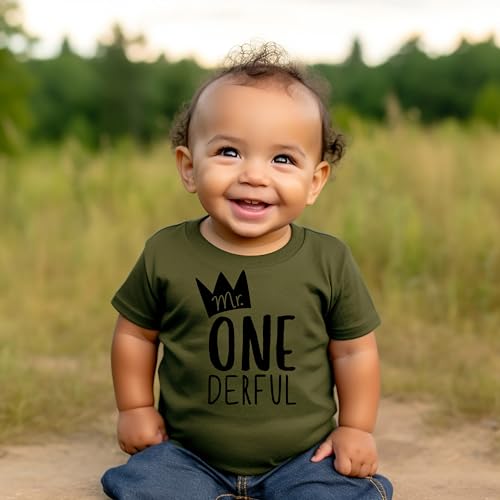 image for Olive Loves Apple Birthday Mr One-Derful for Boys 1st Birthday Shirt f