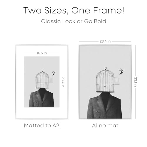 Image of Homeforia A1 Silver Poster Frame, High-End Metal, A2 Mat, Glass | High End Aluminum, Tempered Glass, Acid-Free A2 Removable Mat, A1 Edge-to-Edge Display, Wall Kit, Set Of 2