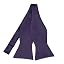 Lapis Purple