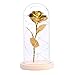 Produktbild LED-Nachtlampen-Verzierung mit Glasdeckeln Goldfolie Rosen-Blumen-LED Micro Landschaft Festive Dekor Zubehör für Kind-Mädchen-Schlafzimmer, ohne Batterie (Gold)