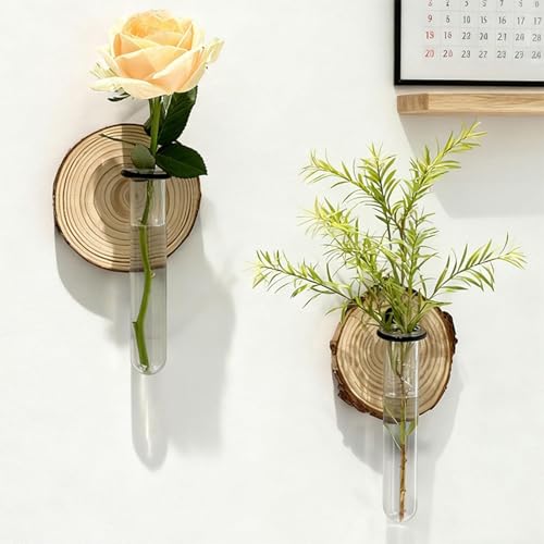 Jardinería de interior con estación de propagación de pared para mujeres 4