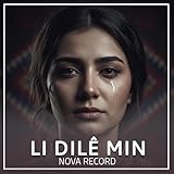  LI DILÊ MIN