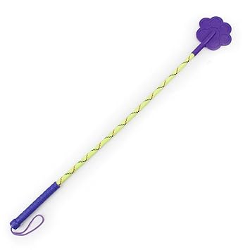 Pooch Box Training Paw Shape Design and Walking Stick for Dogs - Color May Vary (Training Stick)