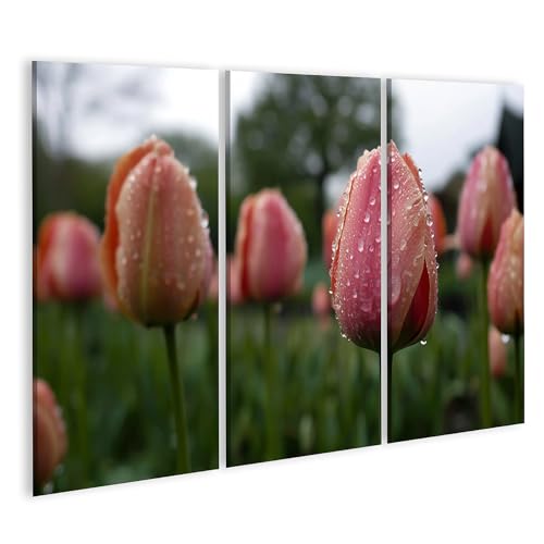 Tableau sur toile tulipes de printemps pour embellir un mur vide salon 3 pièces