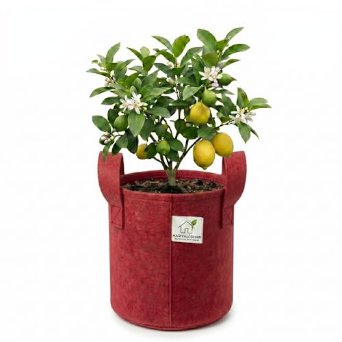 Image of 400 GSM Geo Fabric Round Grow Bags 9x9 Inch with Handle, Red Planting Bags for Terrace and Kitchen Gardening Pack of 1