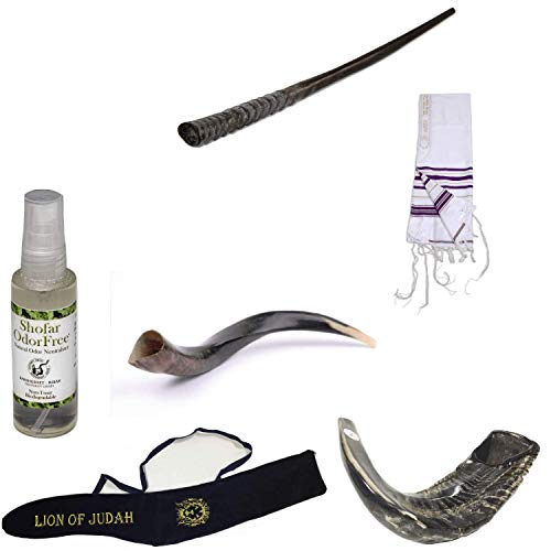 Corne de bélier chophar Kudu ensemble complet avec sac de transport et spray