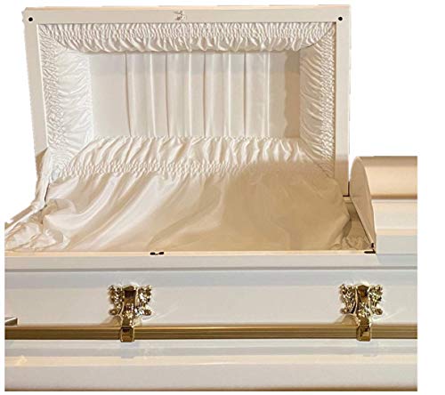 Beautiful White/Gold Casket Gold Hardware White Interior #TOP2