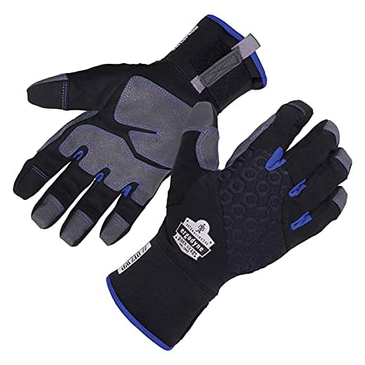 Ergodyne ProFlex 817WP Waterproof Work Gloves, Thermal Insulated, Touchscreen, Reinforced Palms, Black, Large