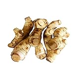 ガランガル カー 500g