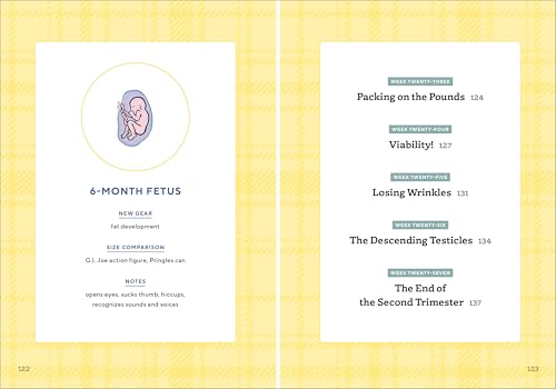 First Time Dad's Pregnancy Handbook 5 First Time Dad's Pregnancy Handbook - Image 5