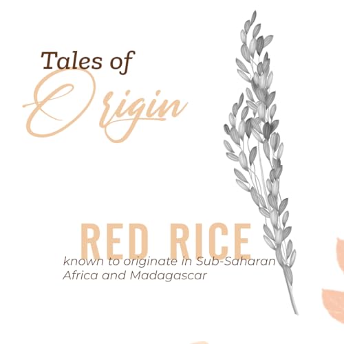 Image of Jiwa Pure Red Rice | 1 Kg | Lal Chawal | Wholesome Nutrient Profile | Rich In Fiber | Naturally Gluten Free | 100% Natural & Wholegrain