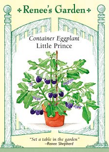 Eggplant - Container - Little Prince Seeds Eggplant - Container - Little Prince Seeds