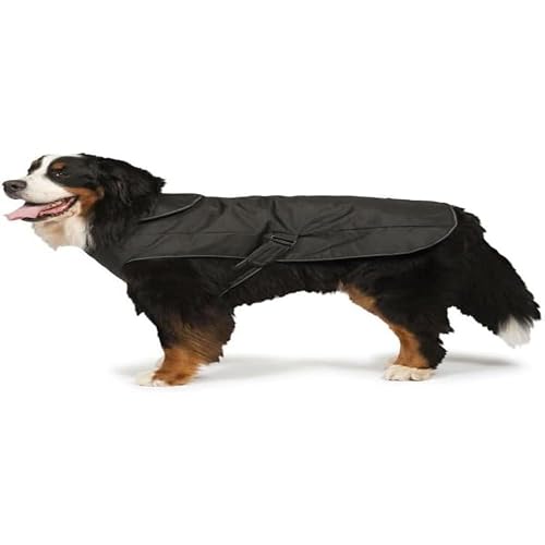 Danish Design - Arnés para Perro 2 en 1 (75 cm), Color Negro
