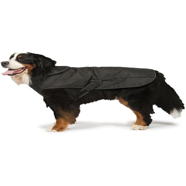 Danish Design - Arnés para Perro 2 en 1 (75 cm), Color Negro