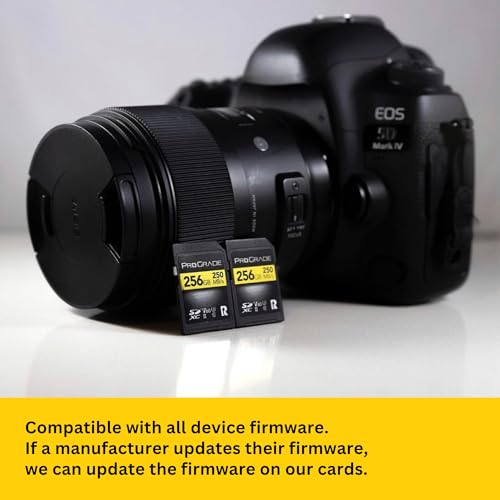 ProGrade Digital V60 256GB