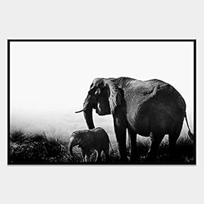 SIGNWIN Framed Canvas Wall Art Wild Animals Canvas...