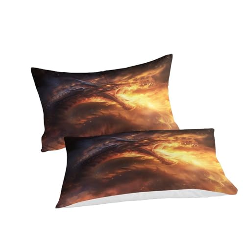 Housse de couette dragon 3D parure de lit douce pour enfant et adulte 260x220