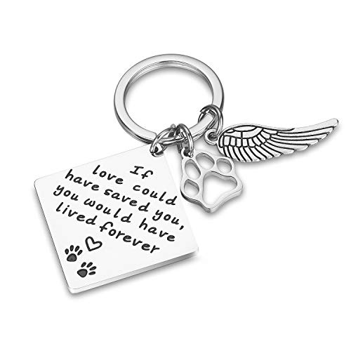 CJ&M Loss of Pet Keychain - Pet Memorial Keychain Jewelry Angel With Paws, Family dog Family cat Family pet Keychain for Pet, Dog Keychain