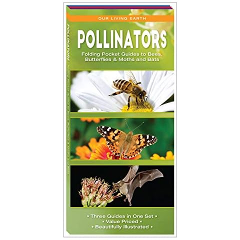 Pollinators: Folding Pocket Guides to Bees, Butterflies & Moths and Bats (Our Living Earth) Cover