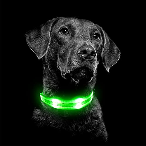 Vizpet Led Dog Collar, Rechargeable Light Up Collar, Waterproof Flashing Light Basic Dog Collars, Super Bright Night Safety (Green, Medium[18.11-22.04 Inch/46-56 Cm]) #TOP6
