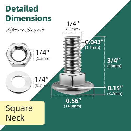 Image of (26 Sets) 1 /4-20 x 3 /4 Carriage Bolts with Nuts and Washers, 304 Stainless Steel Round Head Square Neck 1 /4 Carriage Bolts Screws, Full Thread for Outdoor