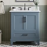 DELUXE LIVING 30 Inch Bathroom Vanity with Sink, Fully Assembled Bathroom Vanities with Quartz Countertop & Backsplash, 30 Inch Vanity with Sink, Soft Closing Doors & Dovetail Drawer, Steel Blue