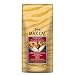 NUTRO MAX CAT Indoor Adult Salmon Flavor Dry Cat Food 6 Pounds