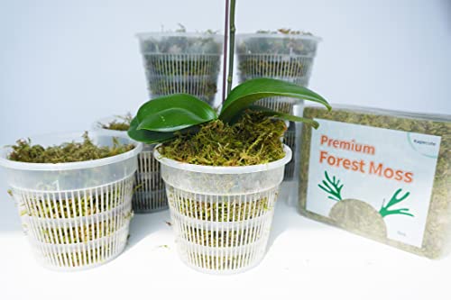 Kapecute 6Oz Natural Forest Moss For Potted Plants, Good Orchid Potting Mix, Perfect For Reptile Terrarium Bedding, Indoor And Outdoor Garden Decor #TOP2