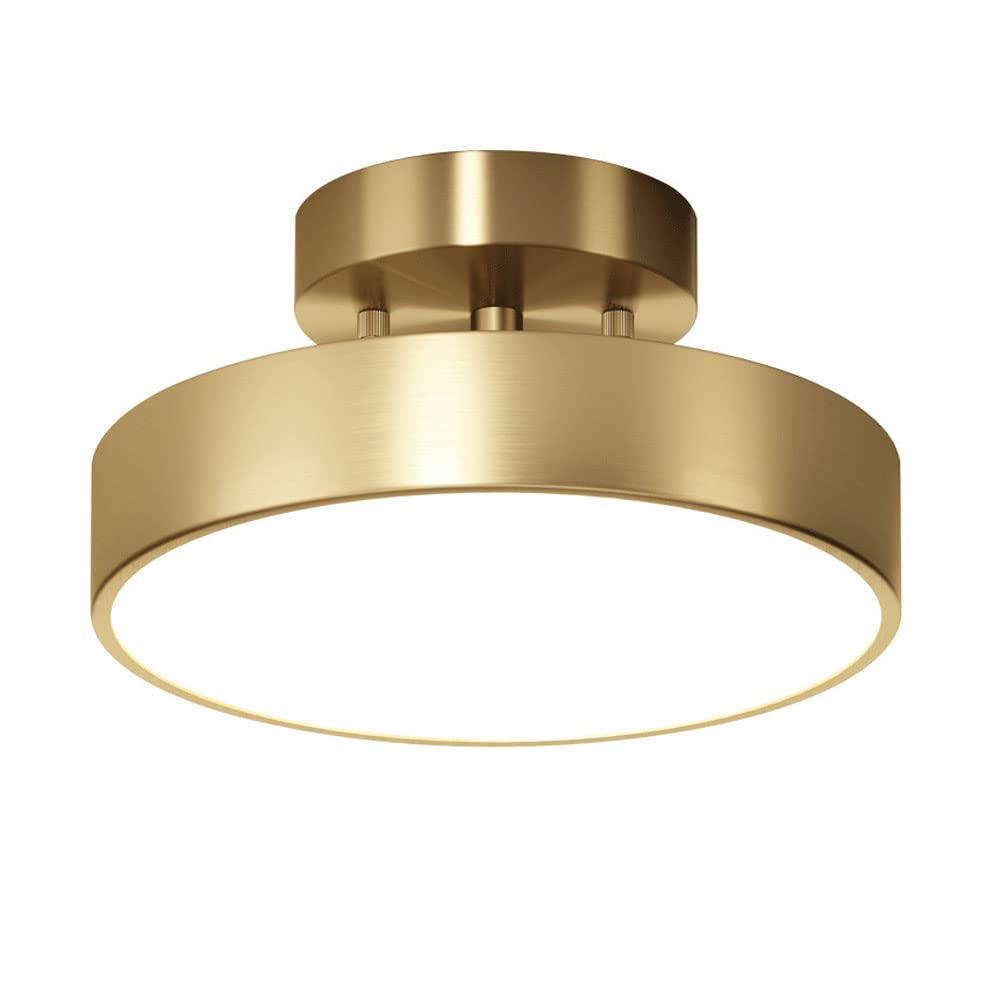 TYBERRY 350 Degree Adjustable Modern Simple Round Ceiling Lamp, LED Flush Mount Surface Mount Ceiling Light Fixture,Three-color Dimming Ceiling Light,easy To Install