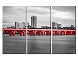 Tulsa, Oklahoma Skyline Black and White Wall Art Downtown Cityscape Picture for Bedroom 3 Pieces Wall Paintings the Arkansas River Wall Decoration for Living Room Framed Ready to Hang (14x28 inch x3)