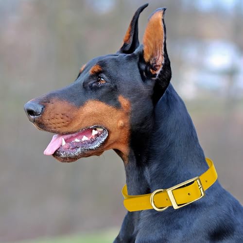 Image of Viper Biothane Heavy Duty Waterproof Dog Collar Strong Coated Nylon Webbing w /Solid Brass Hardware Odor-Proof Easy to Clean High Performance Fits Small Medium or Large Dogs, Treasure Gold