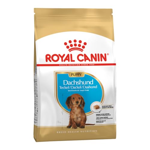 ROYAL CANIN Dachshund Puppy Trockennahrung für Hunde – 1.5 kg