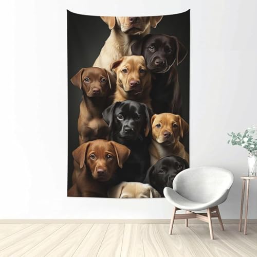 Aj wiz  ^yXg[ t@ubNǏ v[g pi z[  |X^[